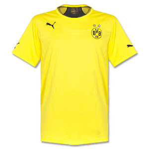 Borussia Dortmund Yellow Performance T-Shirt 2013 2014