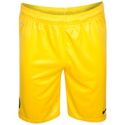 Celtic Away Goalkeeper Shorts 2012/13 - Kids