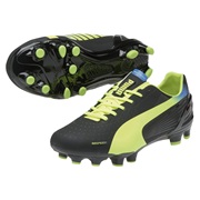 Puma evoSPEED 3.2 Firm Ground Football Boots Black