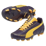 Puma evoSPEED 5.2 Firm Ground Football Boots Blue