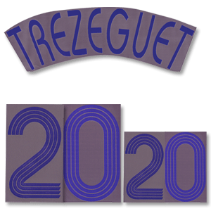 06-07 France Away Trezeguet 20 Name and Number Transfer