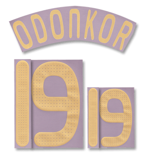 08-09 Germany Away Odonkor 19 Name and Number Transfer
