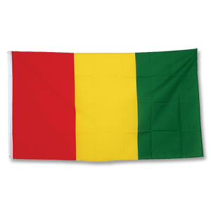 Guinea Large Flag 90 x 150cm