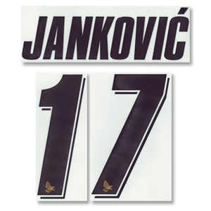 Jankovic 17 07-08 Palermo Home Official Name and Number