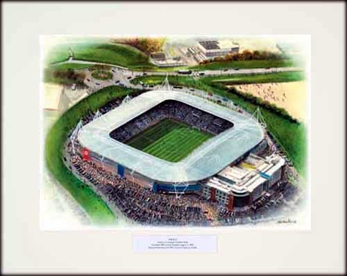 Reading Madejski Stadium - Stadium Print