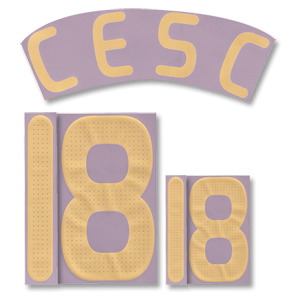 07-09 Spain Home Cesc 18 Name and Number Transfer