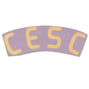 07-09 Spain Home Cesc Official Name Only