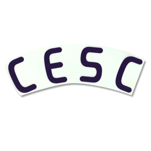 08-09 Spain Away Cesc Official Name Only
